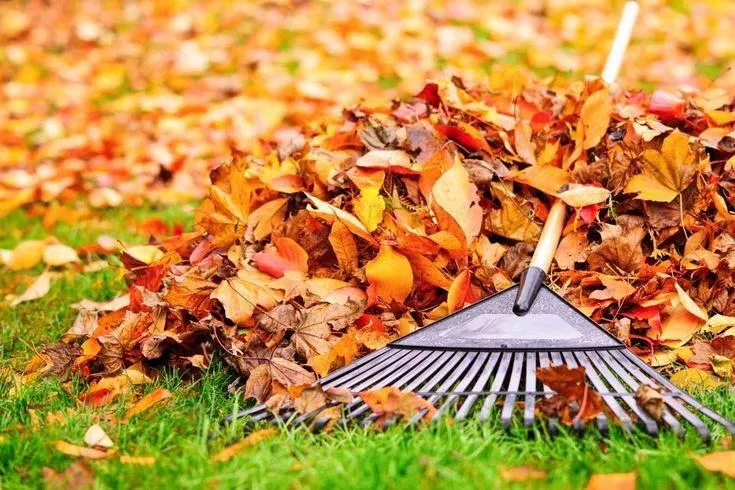 Fall Clean-up in The Hamptons by Crespo Landscaping
