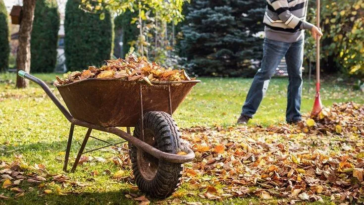 Fall Clean-up & Maintenance in The Hamptons