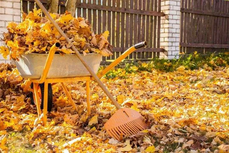 Fall Clean-up & Maintenance in The Hamptons — Fall Services