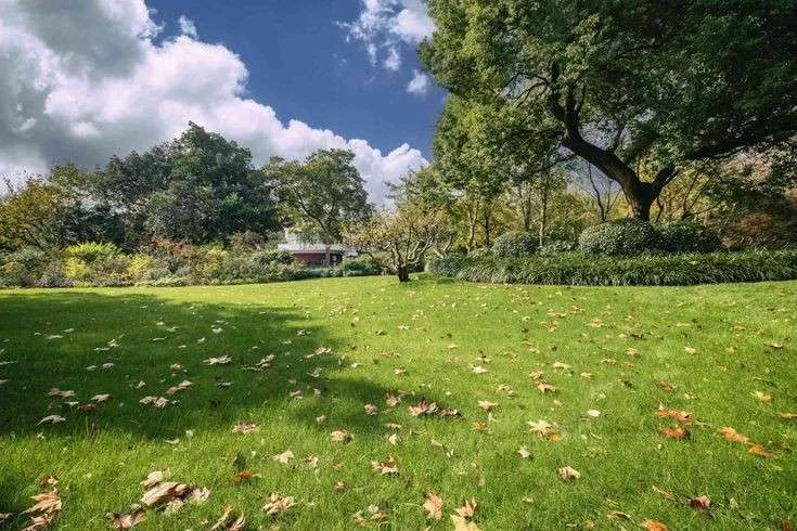 Fall Clean-up & Maintenance in The Hamptons — before Crespo Landscaping