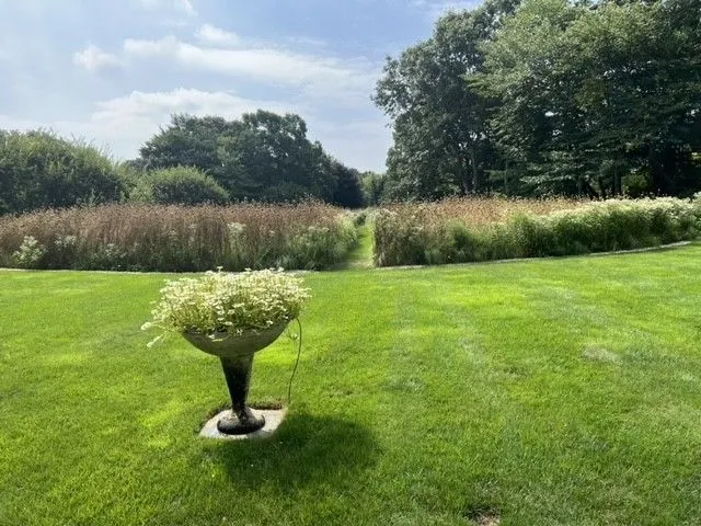 Formal rose garden