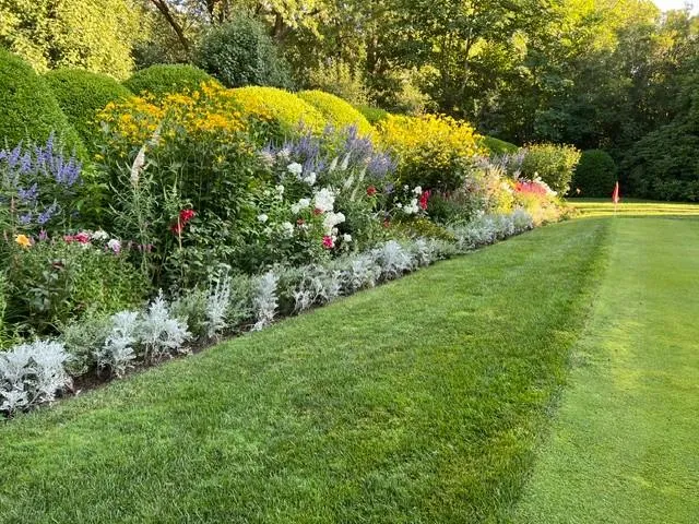 Gravel driveway with hedges