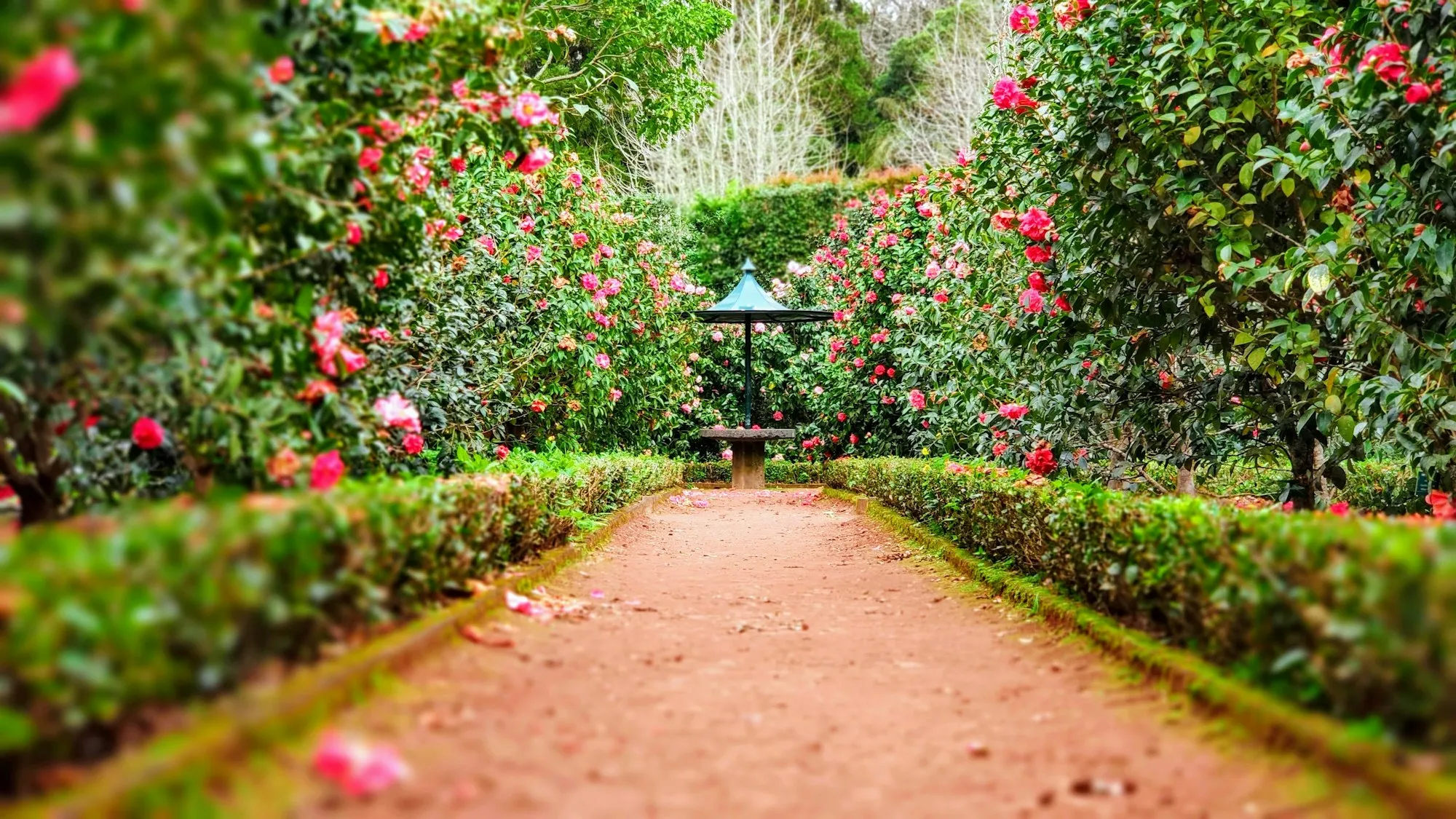 Full-service landscaping in The Hamptons