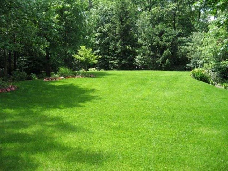Fall Clean-up & Maintenance in The Hamptons — after Crespo Landscaping