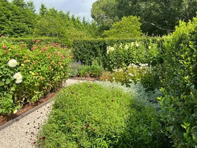 Colorful perennial border