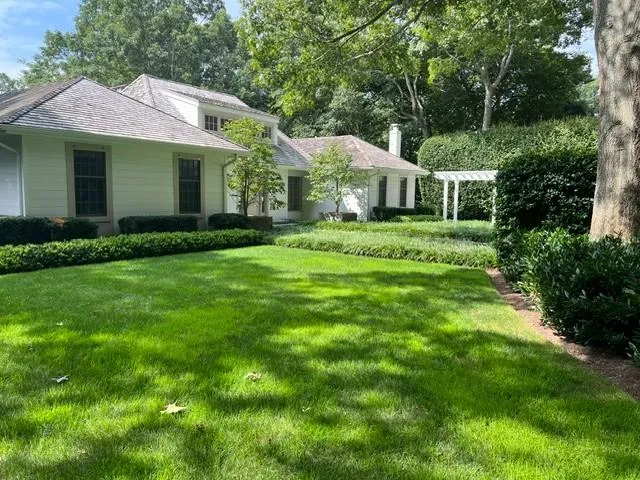 Vibrant perennial garden