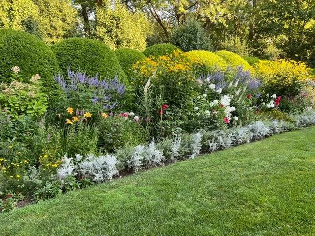 Garden pathway with roses