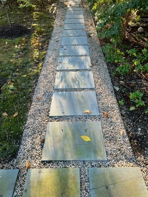 Stone stepping pathway